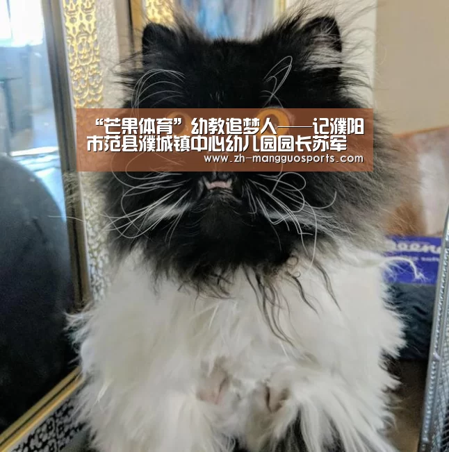 芒果体育