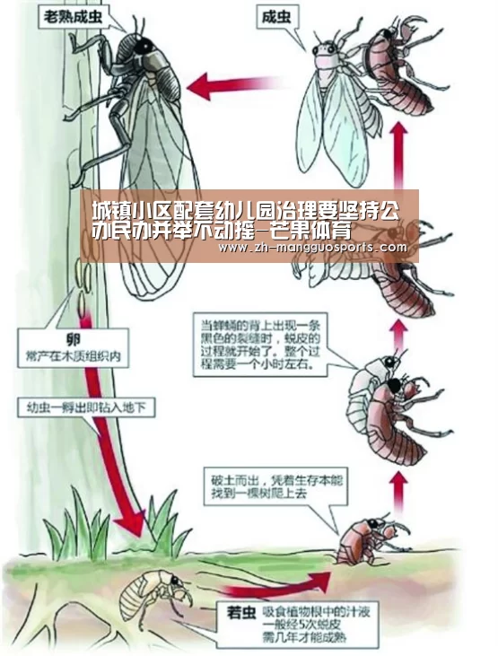 城镇小区配套幼儿园治理要坚持公办民办并举不动摇-芒果体育(图1) 芒果体育