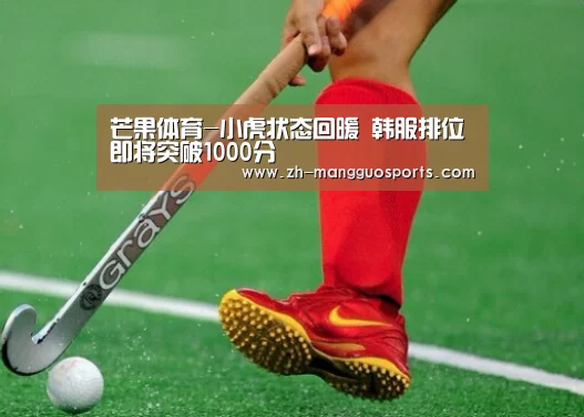 芒果体育-小虎状态回暖 韩服排位即将突破1000分(图3) 芒果体育