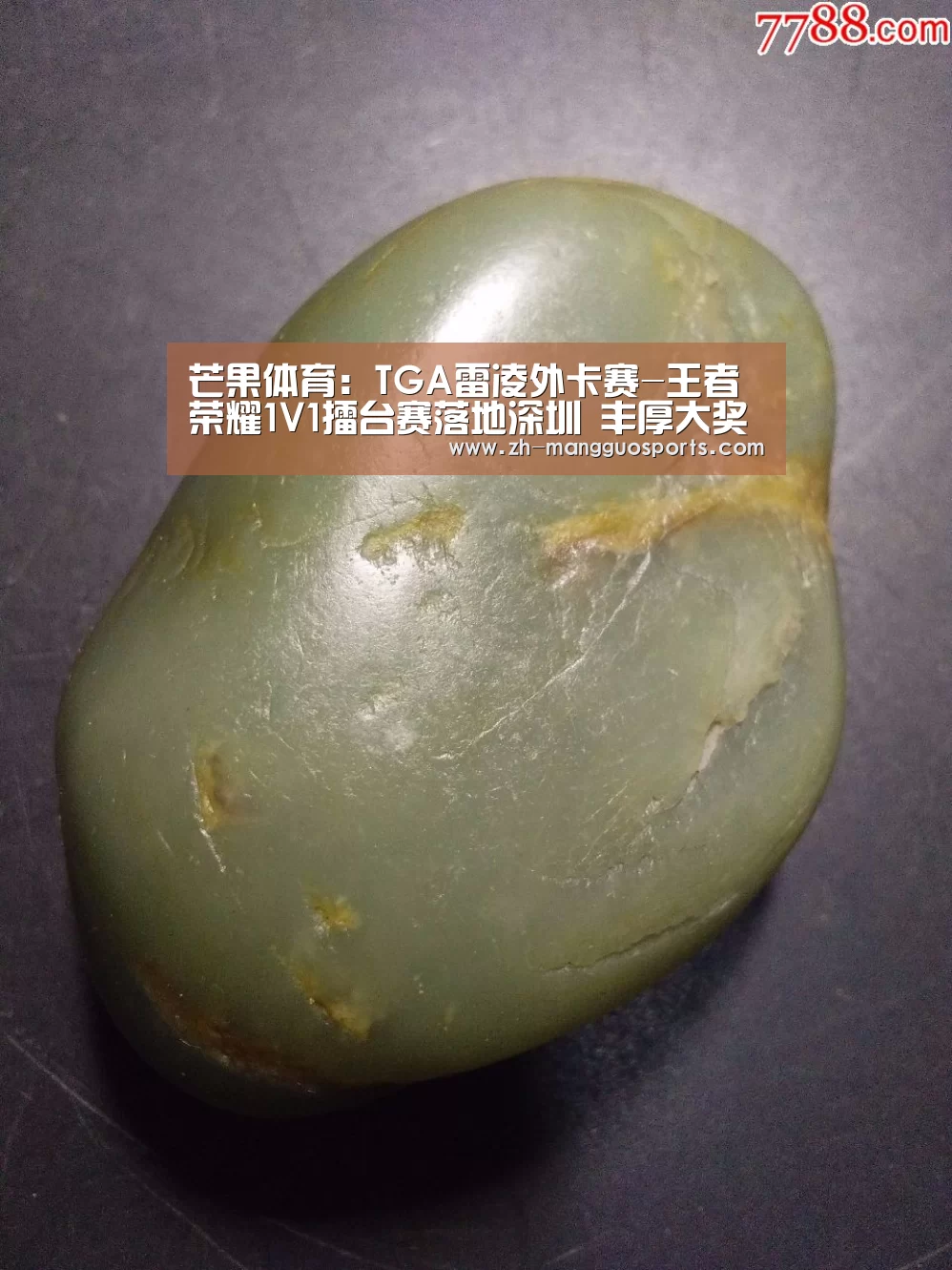 芒果体育:TGA雷凌外卡赛-王者荣耀1V1擂台赛落地深圳 丰厚大奖等你来战(图1) 芒果体育