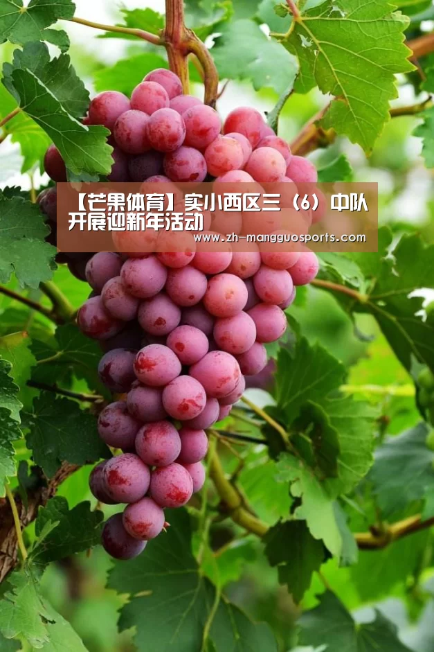 芒果体育