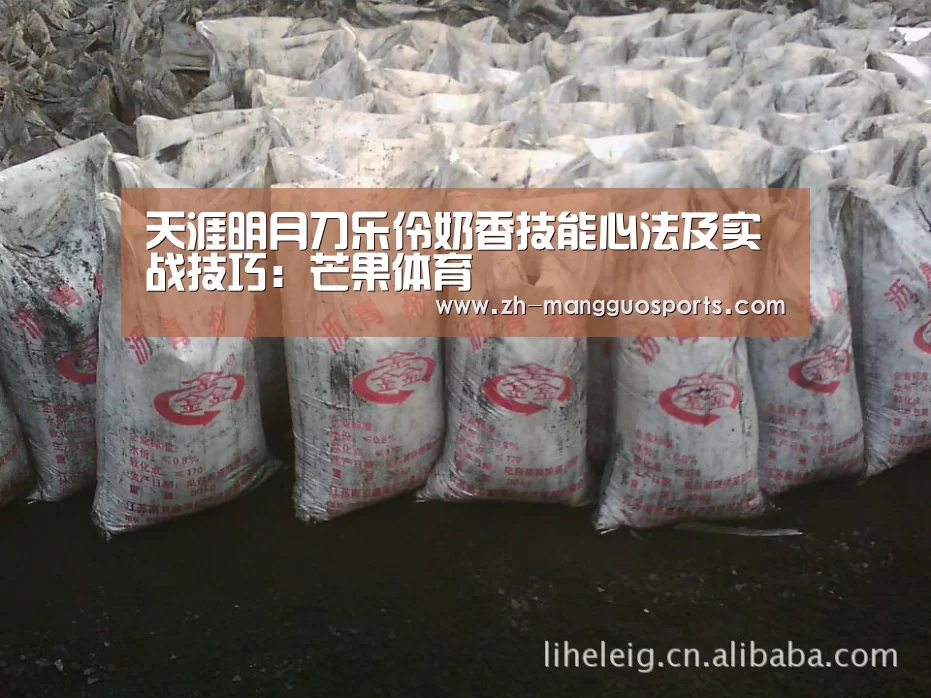 天涯明月刀乐伶奶香技能心法及实战技巧:芒果体育(图1) 芒果体育